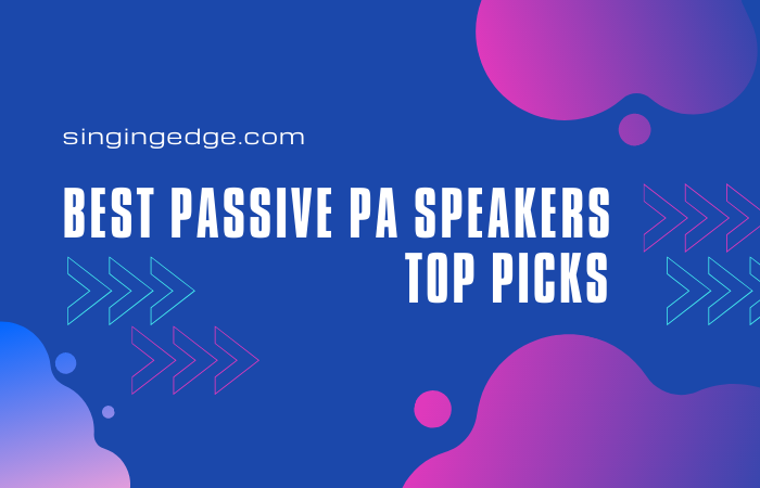 Best Passive PA Speakers