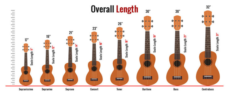 electric ukulele sizes