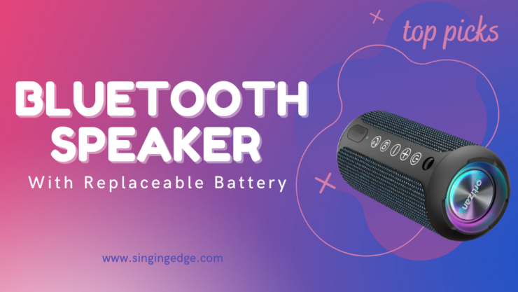 Bluetooth Speaker With Replaceable Battery