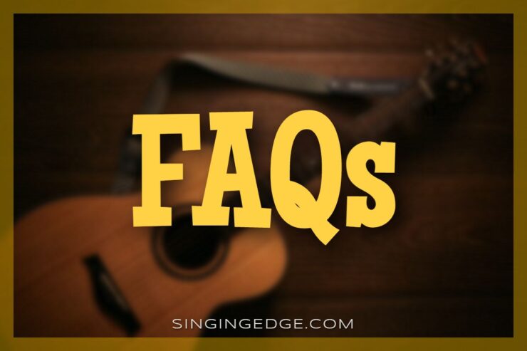 FAQ Best Acoustic Guitars Under $300