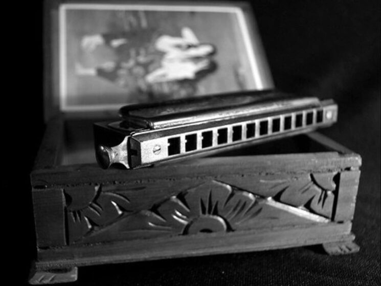 harmonica easiest instruments to learn late in life